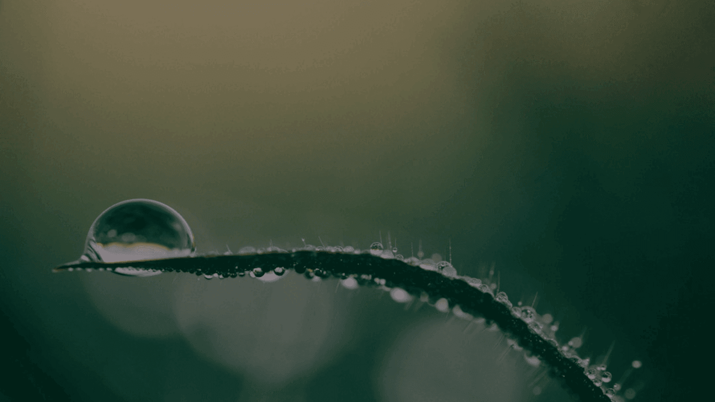 AI Video Watermark Problem: 5 Tools That Actually Deliver Clean Exports (with Freelancer Tips)